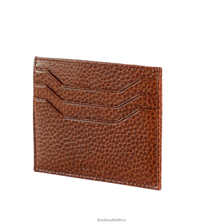 Accessories brown LLOYD CARDHOLDER Men 86B4D657
