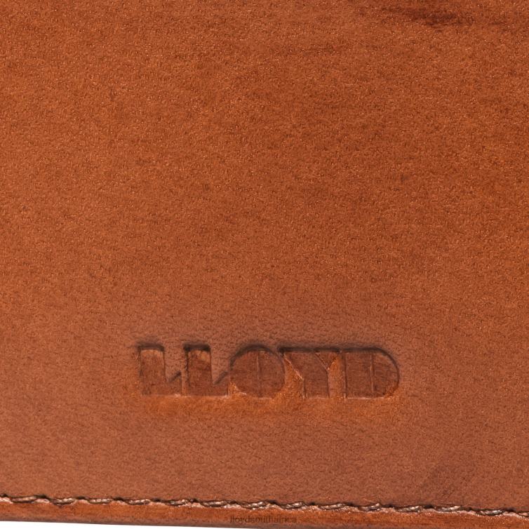 Accessories brown LLOYD CREDIT CARD CASE Men 86B4D661