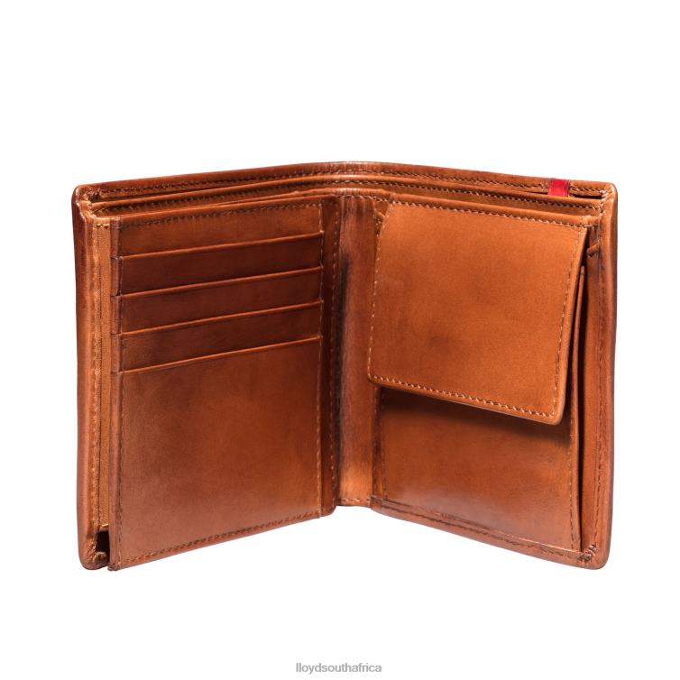 Accessories brown LLOYD POCKET Men 86B4D680