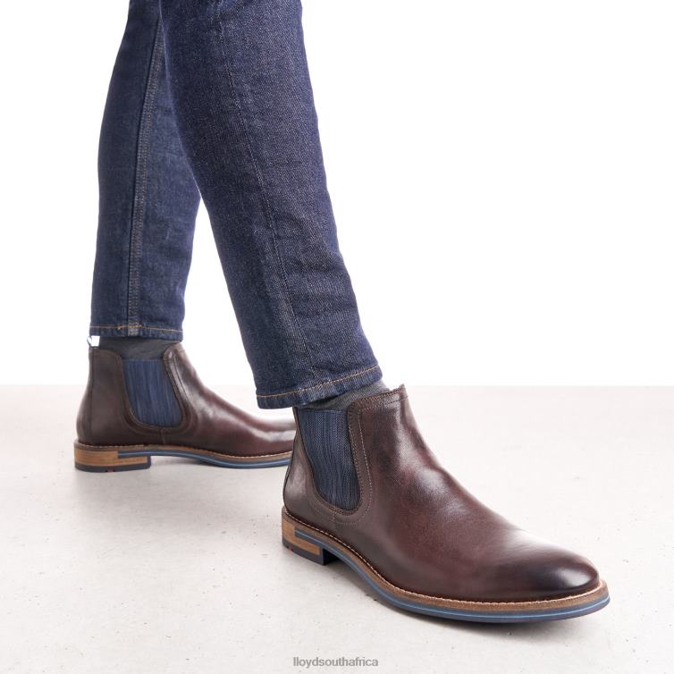 Shoes brown LLOYD DARIO Men 86B4D1342