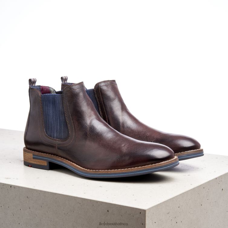 Shoes brown LLOYD DARIO Men 86B4D1342