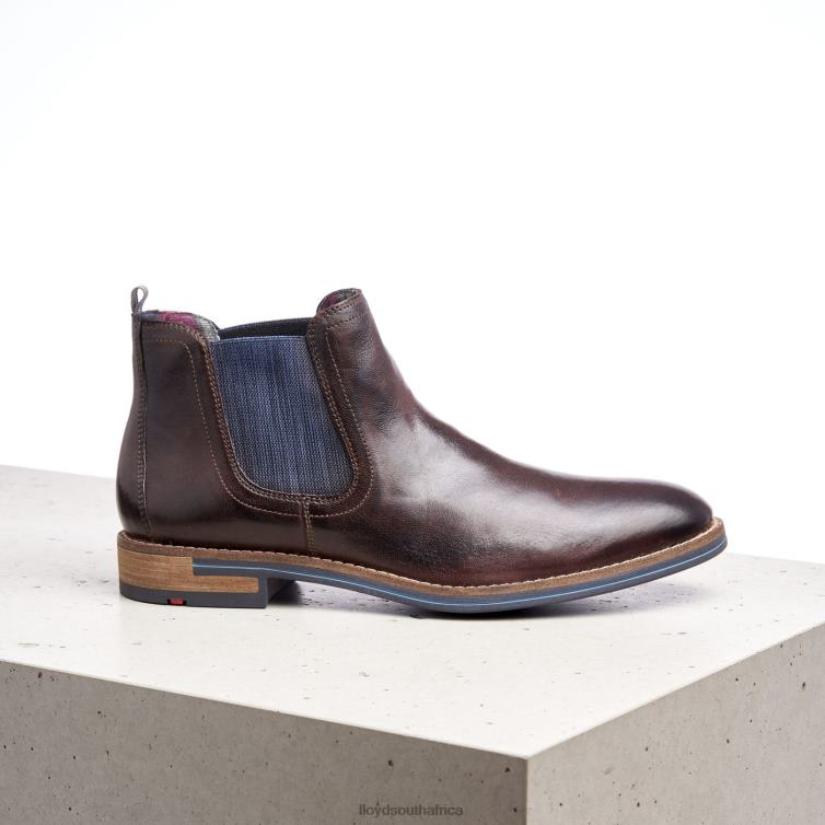 Shoes brown LLOYD DARIO Men 86B4D1342