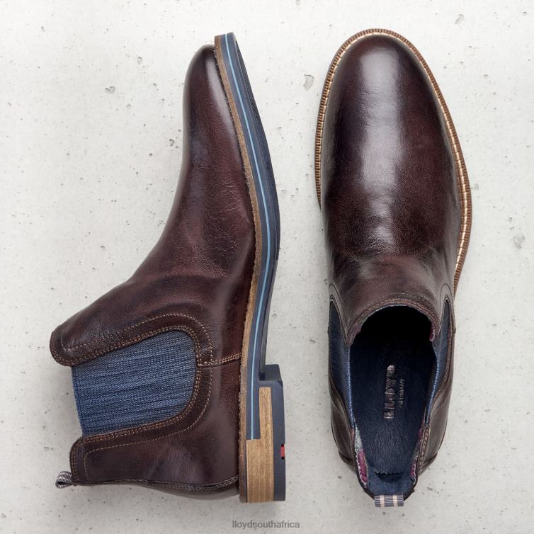 Shoes brown LLOYD DARIO Men 86B4D1342