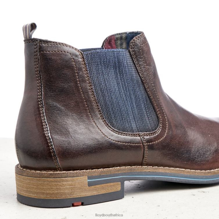 Shoes brown LLOYD DARIO Men 86B4D1342