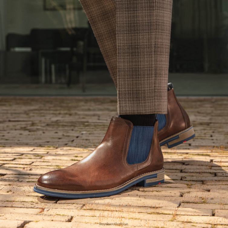 Shoes brown LLOYD DARIO Men 86B4D1343