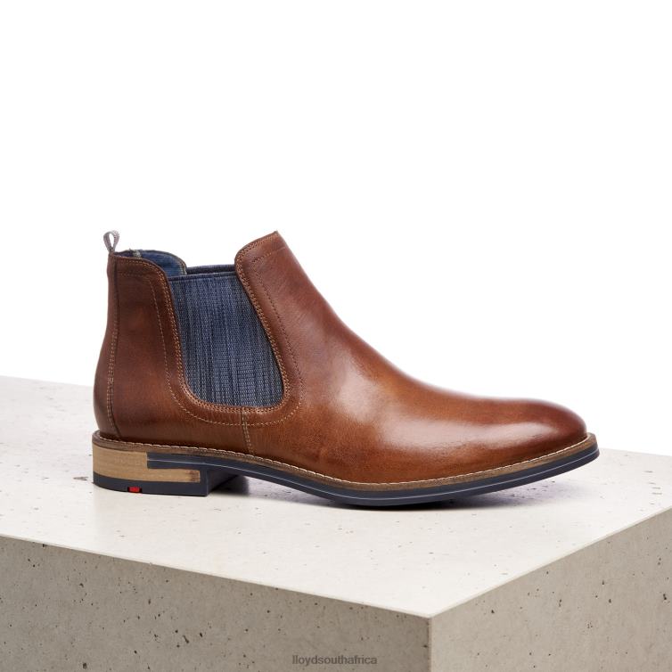 Shoes brown LLOYD DARIO Men 86B4D1343