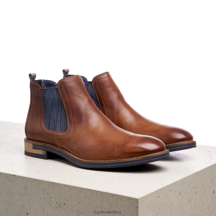 Shoes brown LLOYD DARIO Men 86B4D1343