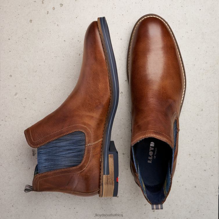 Shoes brown LLOYD DARIO Men 86B4D1343