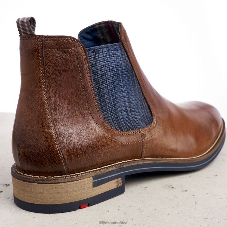 Shoes brown LLOYD DARIO Men 86B4D1343