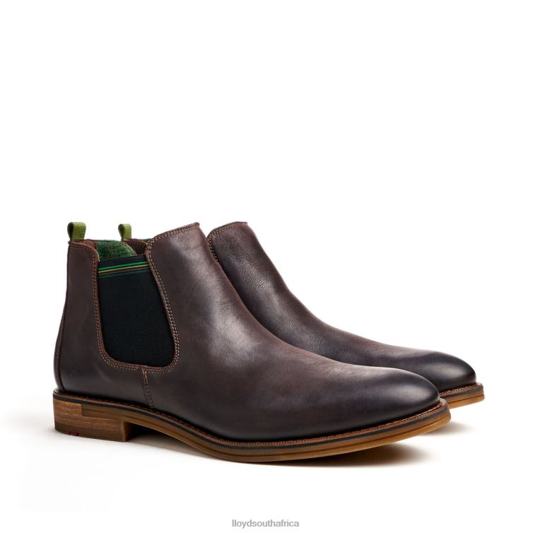 Shoes brown LLOYD DARRY Men 86B4D459