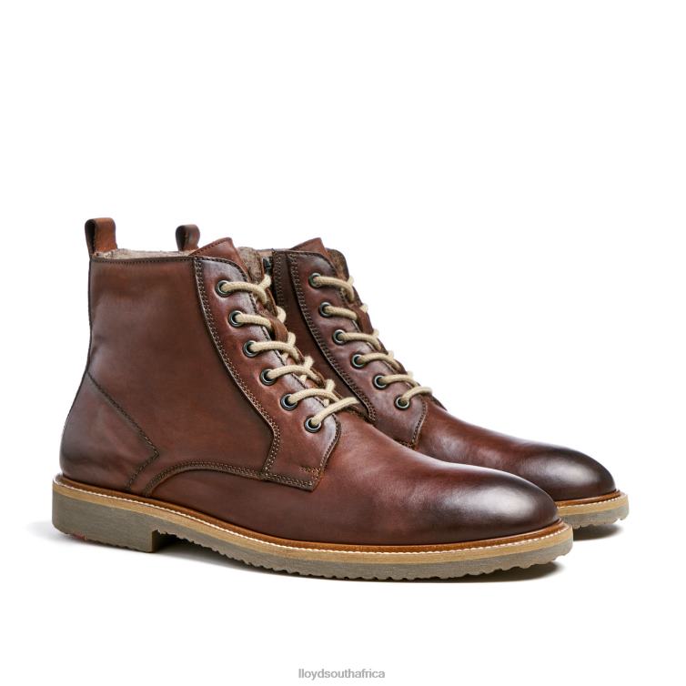 Shoes brown LLOYD DARWIN Men 86B4D475