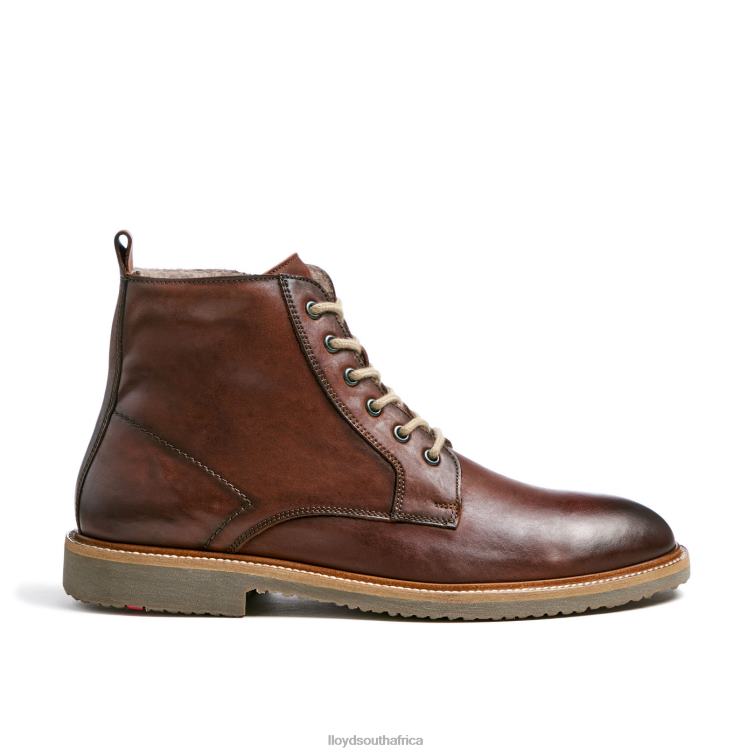 Shoes brown LLOYD DARWIN Men 86B4D475