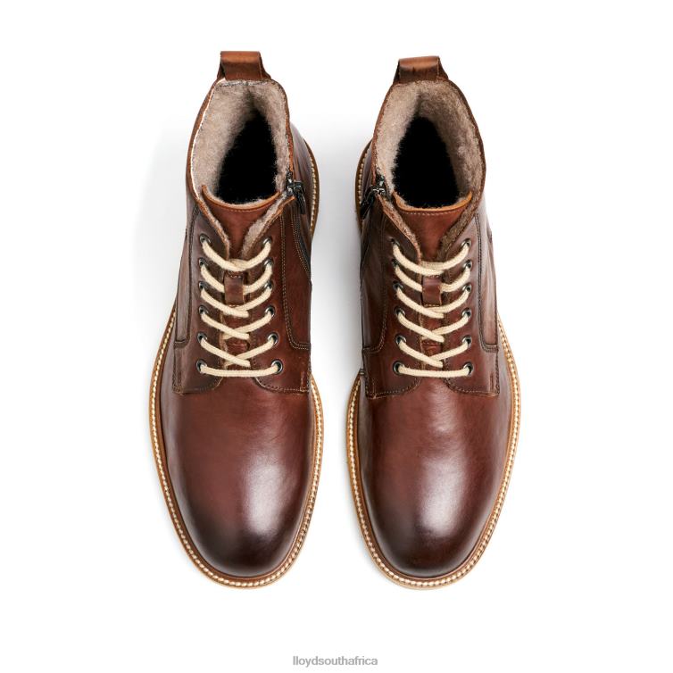Shoes brown LLOYD DARWIN Men 86B4D475