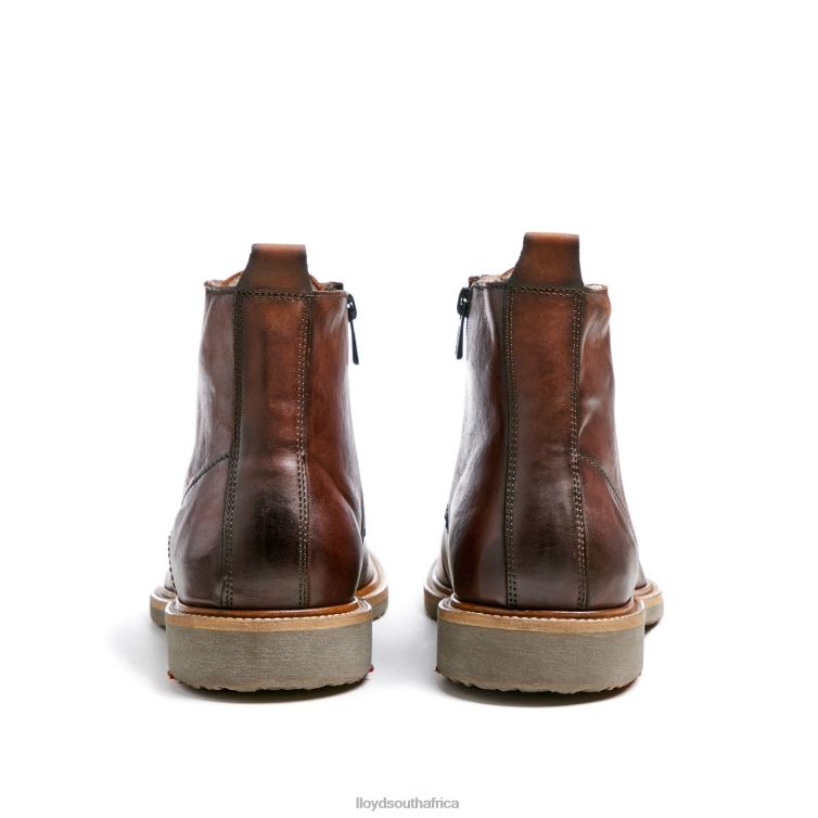 Shoes brown LLOYD DARWIN Men 86B4D475