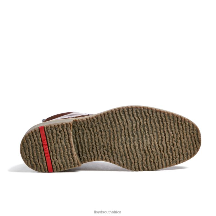 Shoes brown LLOYD DARWIN Men 86B4D475