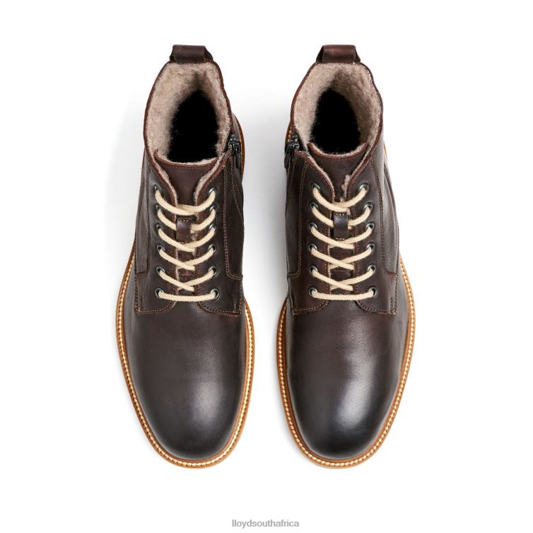 Shoes brown LLOYD DARWIN Men 86B4D476