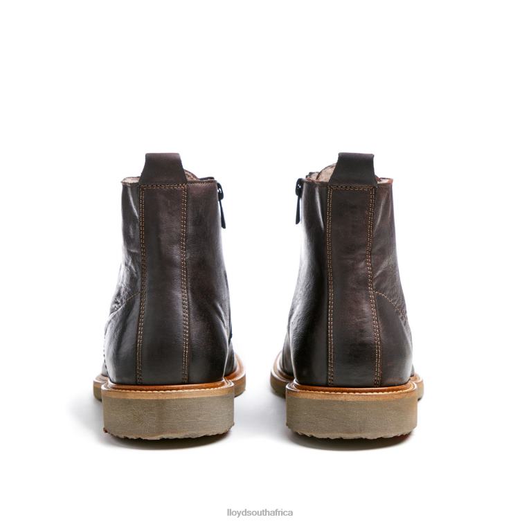 Shoes brown LLOYD DARWIN Men 86B4D476