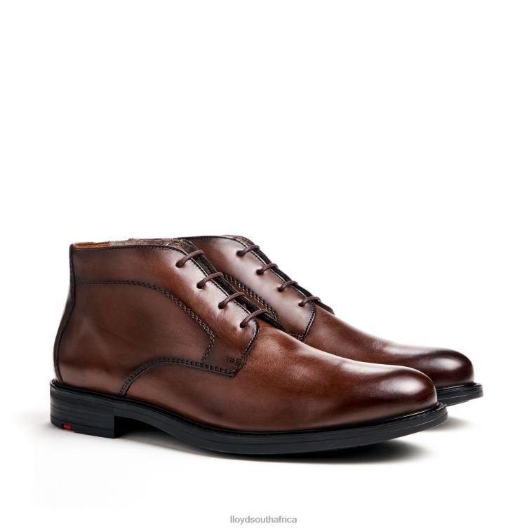 Shoes brown LLOYD DELAWARE Men 86B4D461