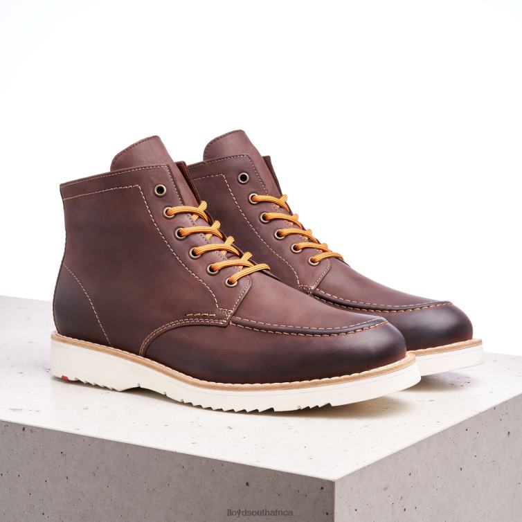 Shoes brown LLOYD DENIER Men 86B4D504