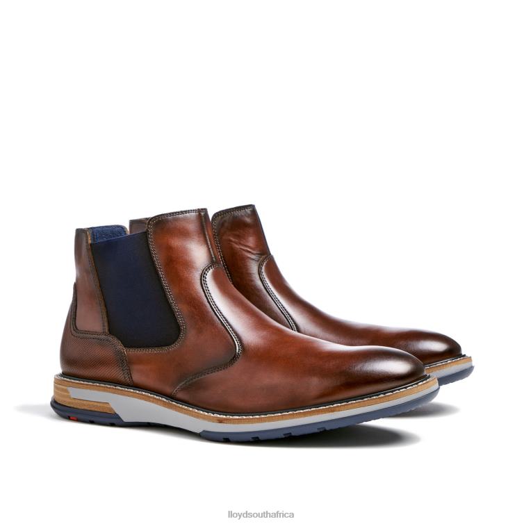 Shoes brown LLOYD DEXTER Men 86B4D469