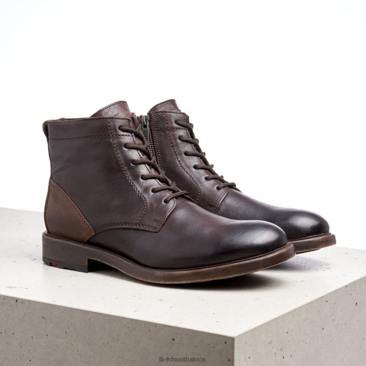 Shoes brown LLOYD DUAL Men 86B4D526