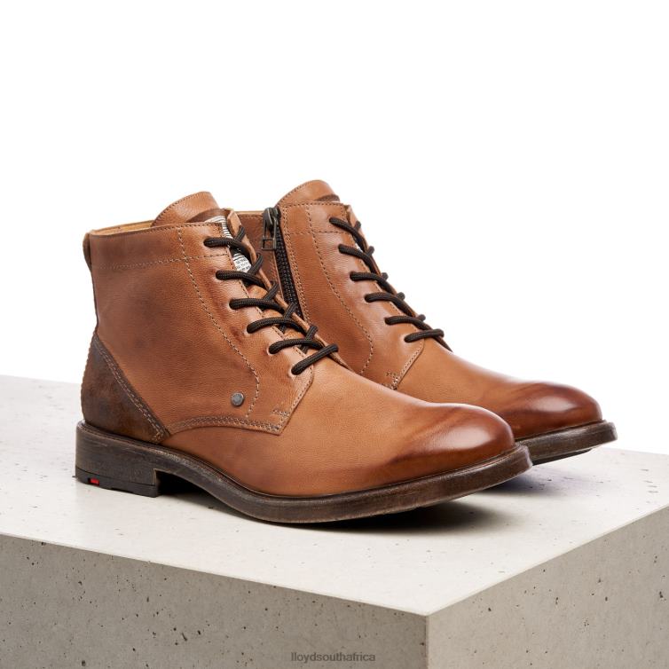 Shoes brown LLOYD DWAYN Men 86B4D535