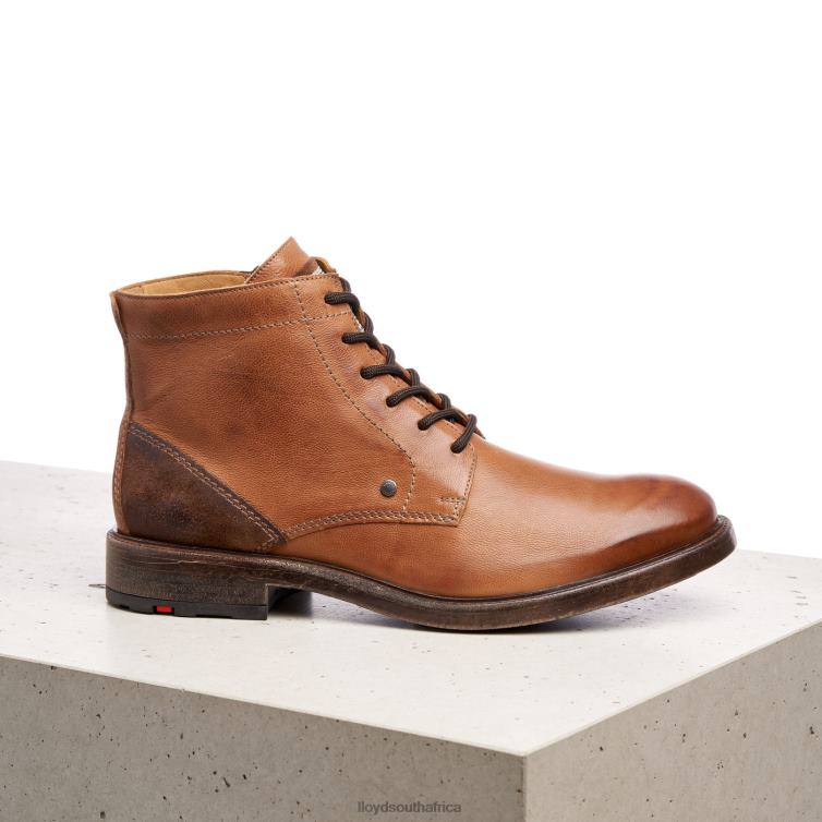 Shoes brown LLOYD DWAYN Men 86B4D535