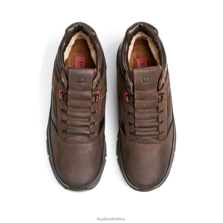 Shoes brown LLOYD EDD Men 86B4D467