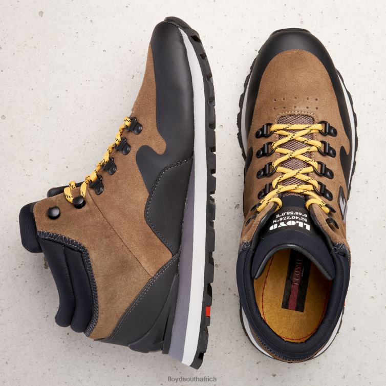 Shoes brown LLOYD ELWAS Men 86B4D551