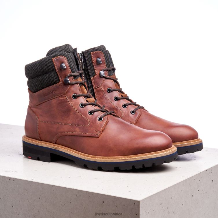 Shoes brown LLOYD FLAVIO Men 86B4D506