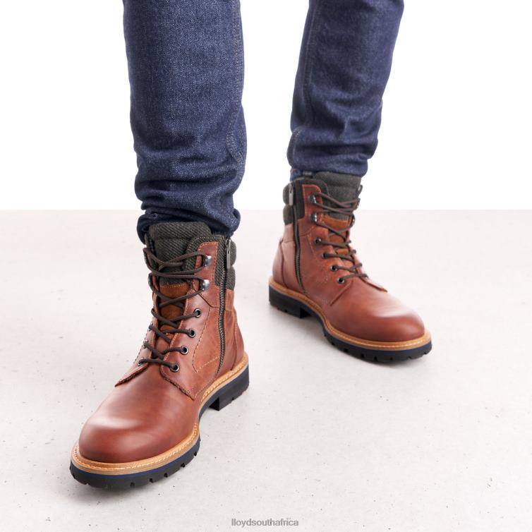 Shoes brown LLOYD FLAVIO Men 86B4D506