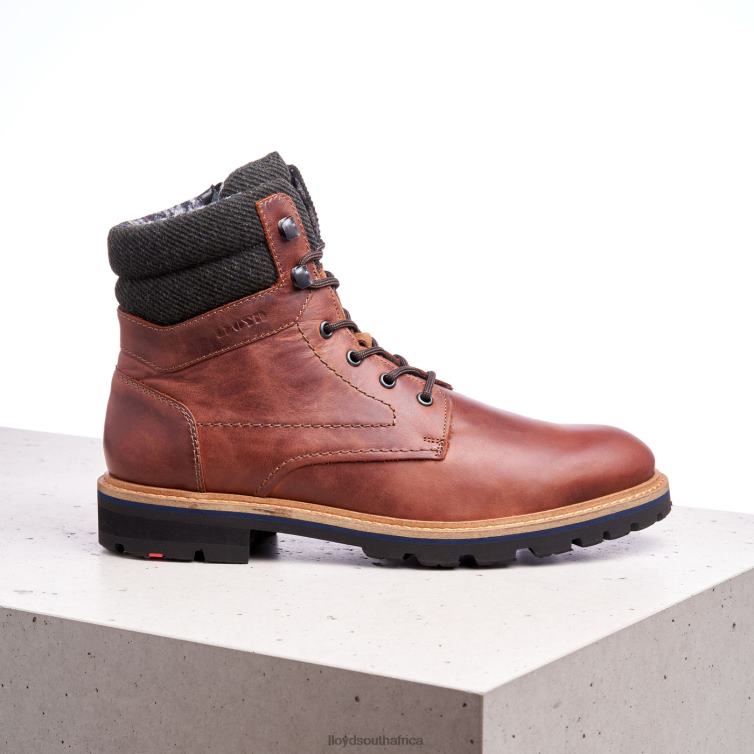 Shoes brown LLOYD FLAVIO Men 86B4D506