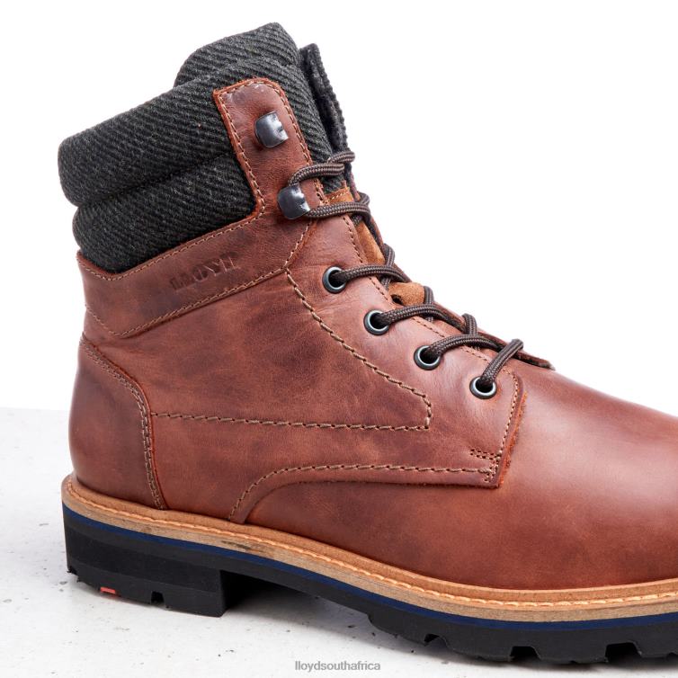 Shoes brown LLOYD FLAVIO Men 86B4D506