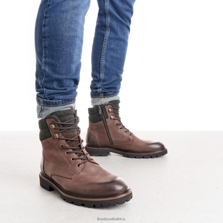 Shoes brown LLOYD FLAVIO Men 86B4D545