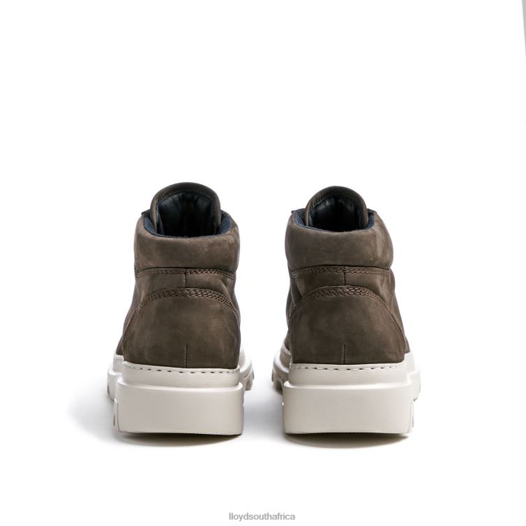 Shoes brown LLOYD FORMAN Men 86B4D455