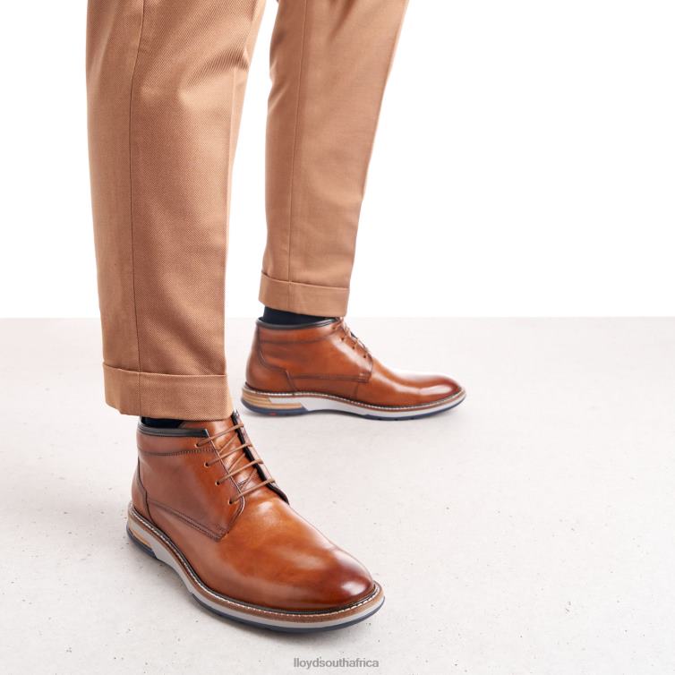 Shoes brown LLOYD GIJON Men 86B4D556