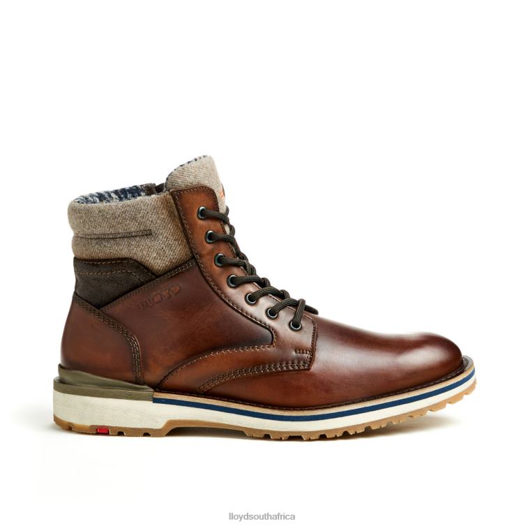 Shoes brown LLOYD GLENN Men 86B4D482