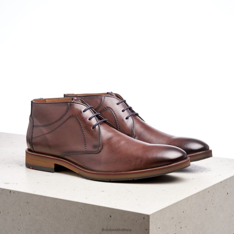 Shoes brown LLOYD HASTINGS Men 86B4D566