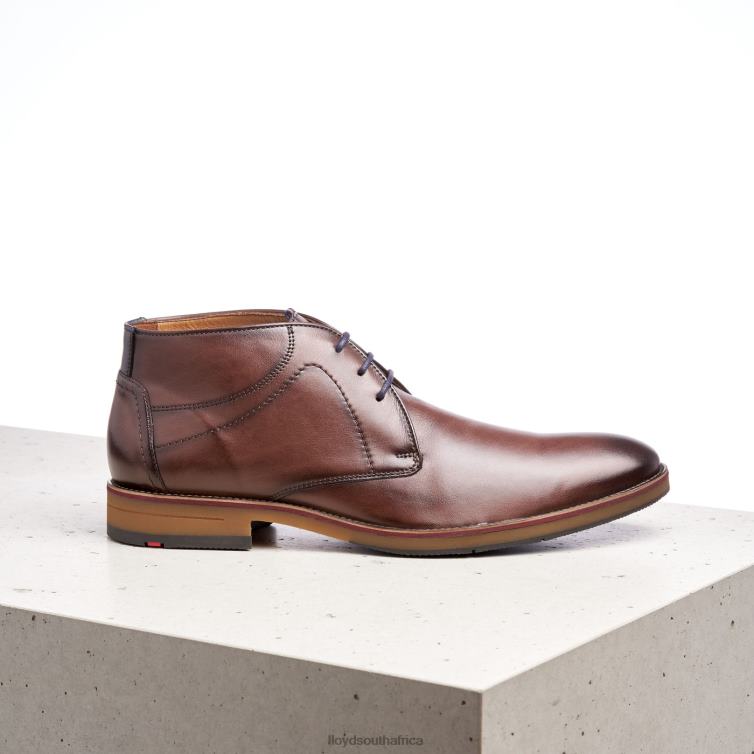 Shoes brown LLOYD HASTINGS Men 86B4D566