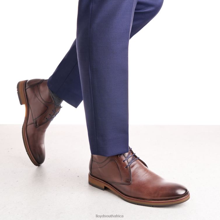 Shoes brown LLOYD HASTINGS Men 86B4D566