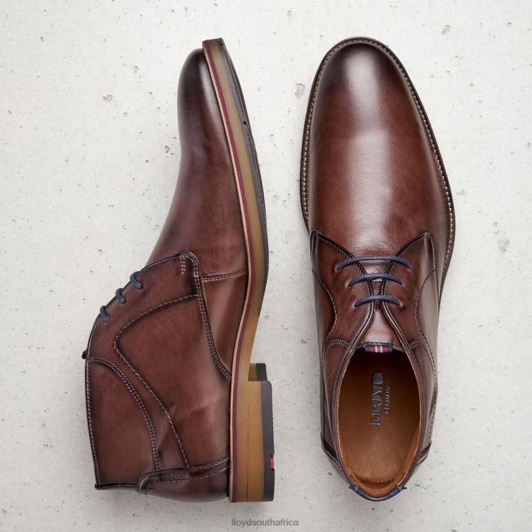 Shoes brown LLOYD HASTINGS Men 86B4D566
