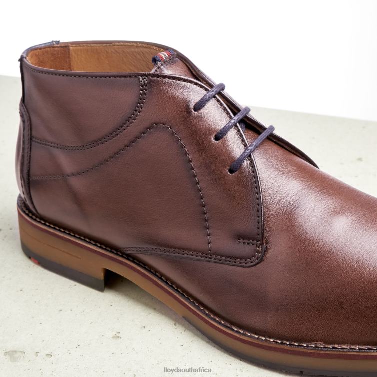 Shoes brown LLOYD HASTINGS Men 86B4D566