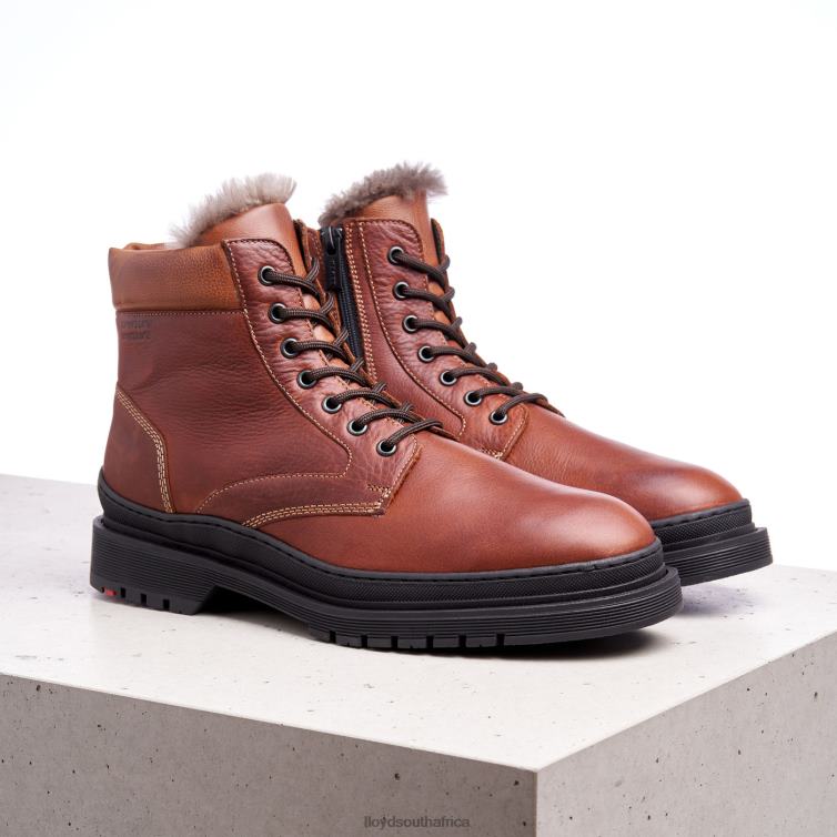 Shoes brown LLOYD HOLLIS Men 86B4D537