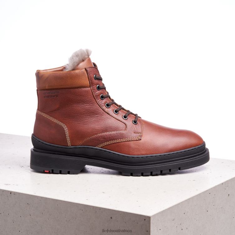 Shoes brown LLOYD HOLLIS Men 86B4D537