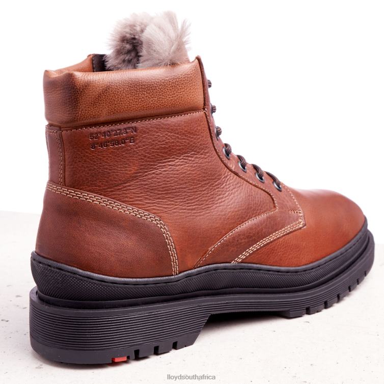 Shoes brown LLOYD HOLLIS Men 86B4D537