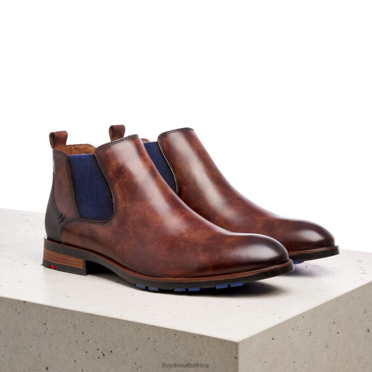 Shoes brown LLOYD JASER Men 86B4D200