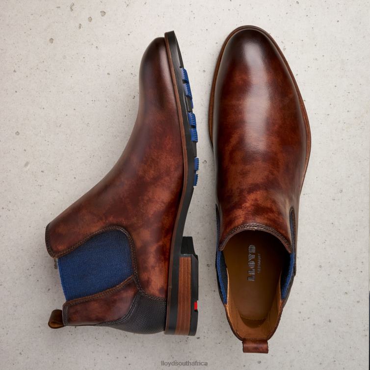 Shoes brown LLOYD JASER Men 86B4D200