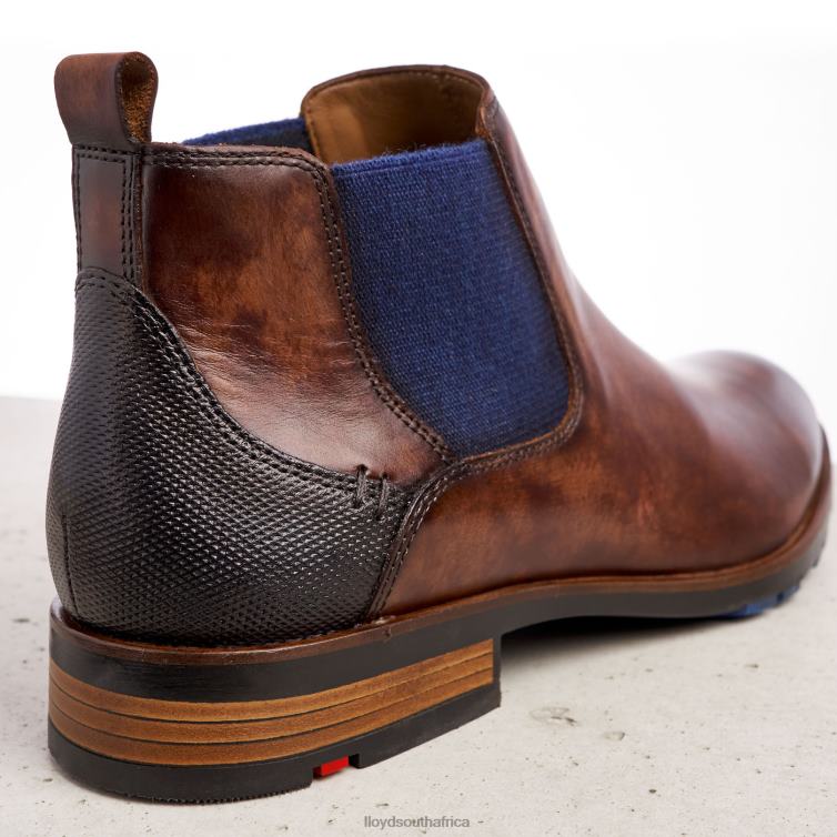 Shoes brown LLOYD JASER Men 86B4D200