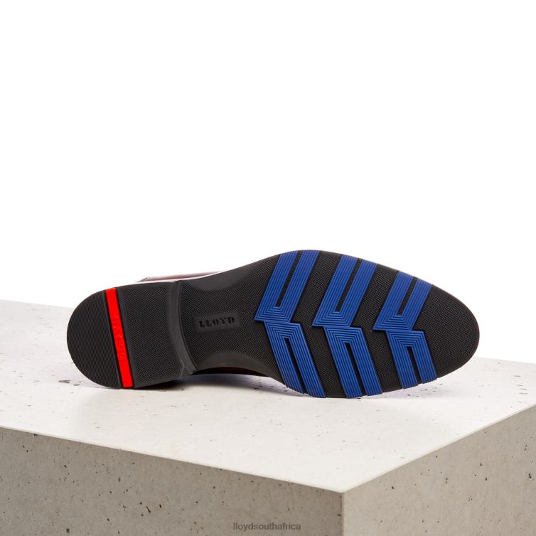 Shoes brown LLOYD JASER Men 86B4D200