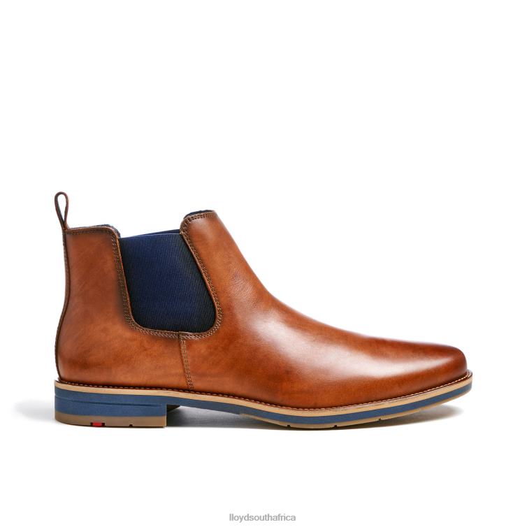 Shoes brown LLOYD LAWRENCE Men 86B4D453